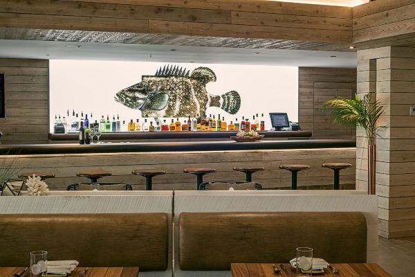 Hotel Amara Cay Resort (Islamorada, Village of Islands)